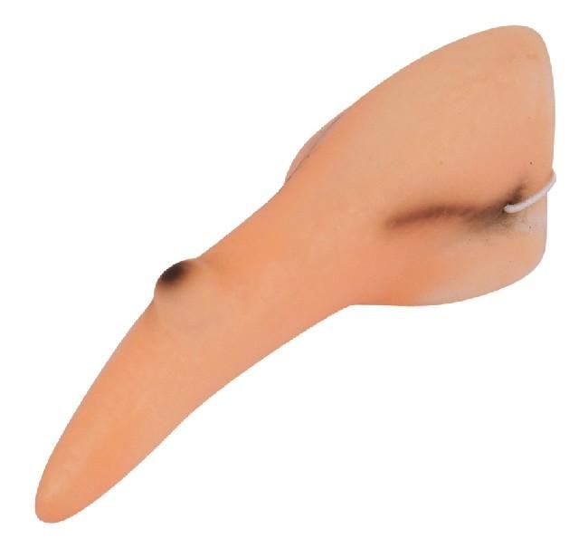 Čarodějnický nos