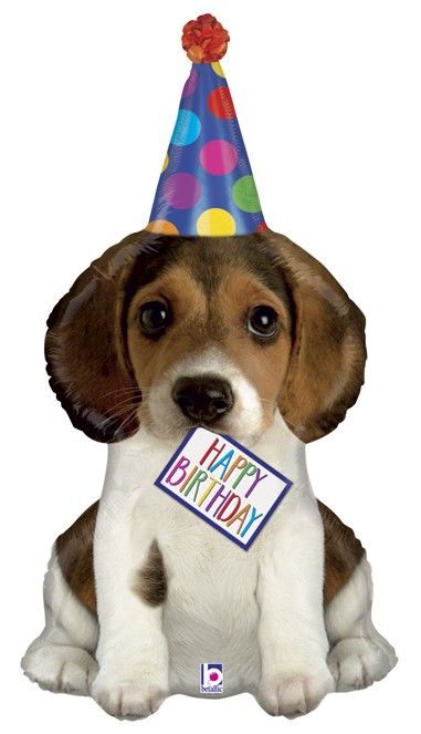 Obrázek k výrobku 22523 - Fóliový balónek HAPPY BIRTHDAY