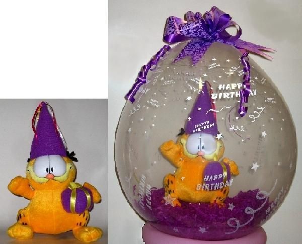 Garfield Narozeninová párty
