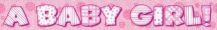 BABY GIRL foil banner
