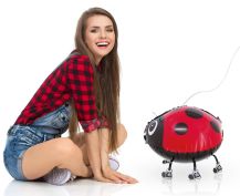Obrázek k výrobku 23775 - Fóliový balónek beruška