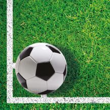 Obrázek k výrobku 23668 - Ubrousky Fotbal