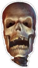 Výřez Bones