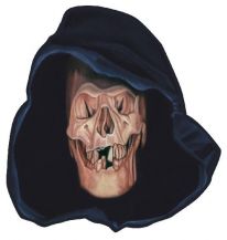 Výřez Reaper