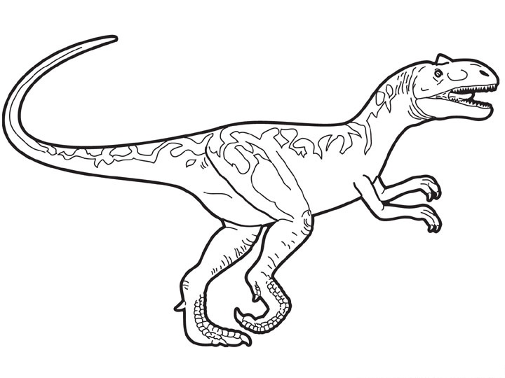 raptors coloring pages - photo #12